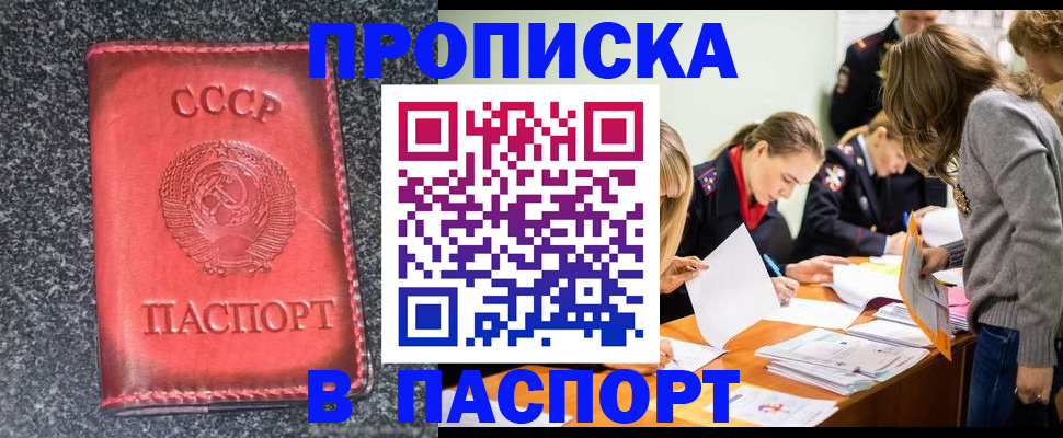 прописка для школы в Реутове